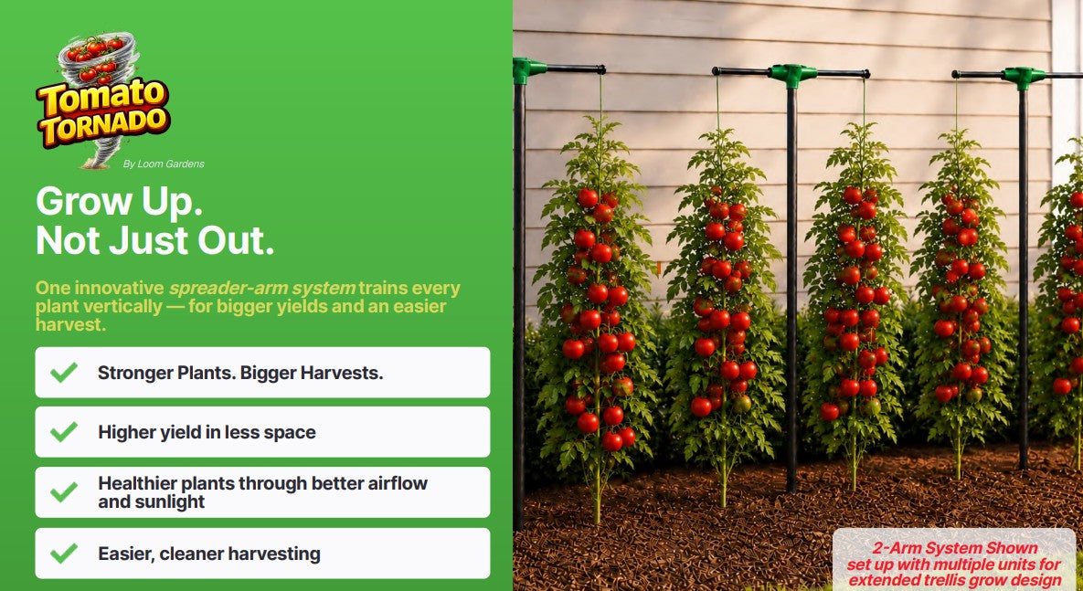 Tomato Tornado