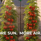 Tomato Tornado